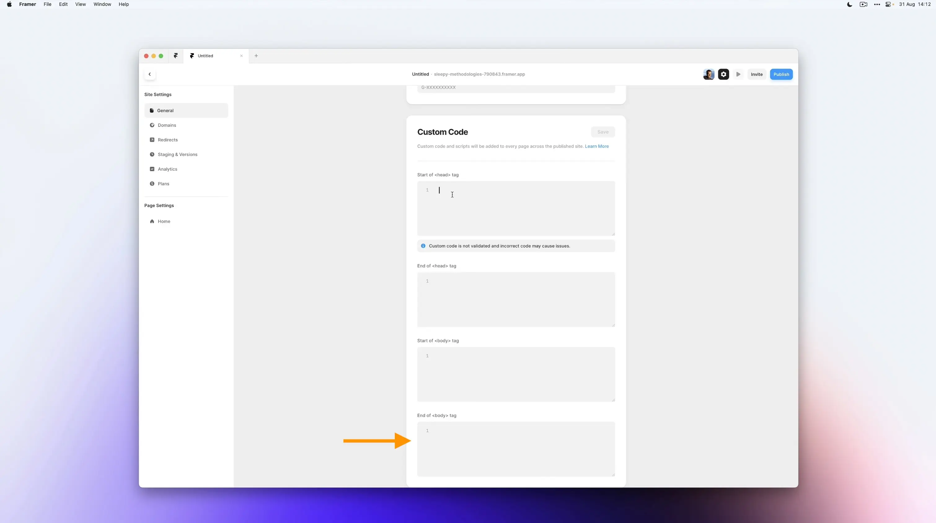 Framer Custom Code settings