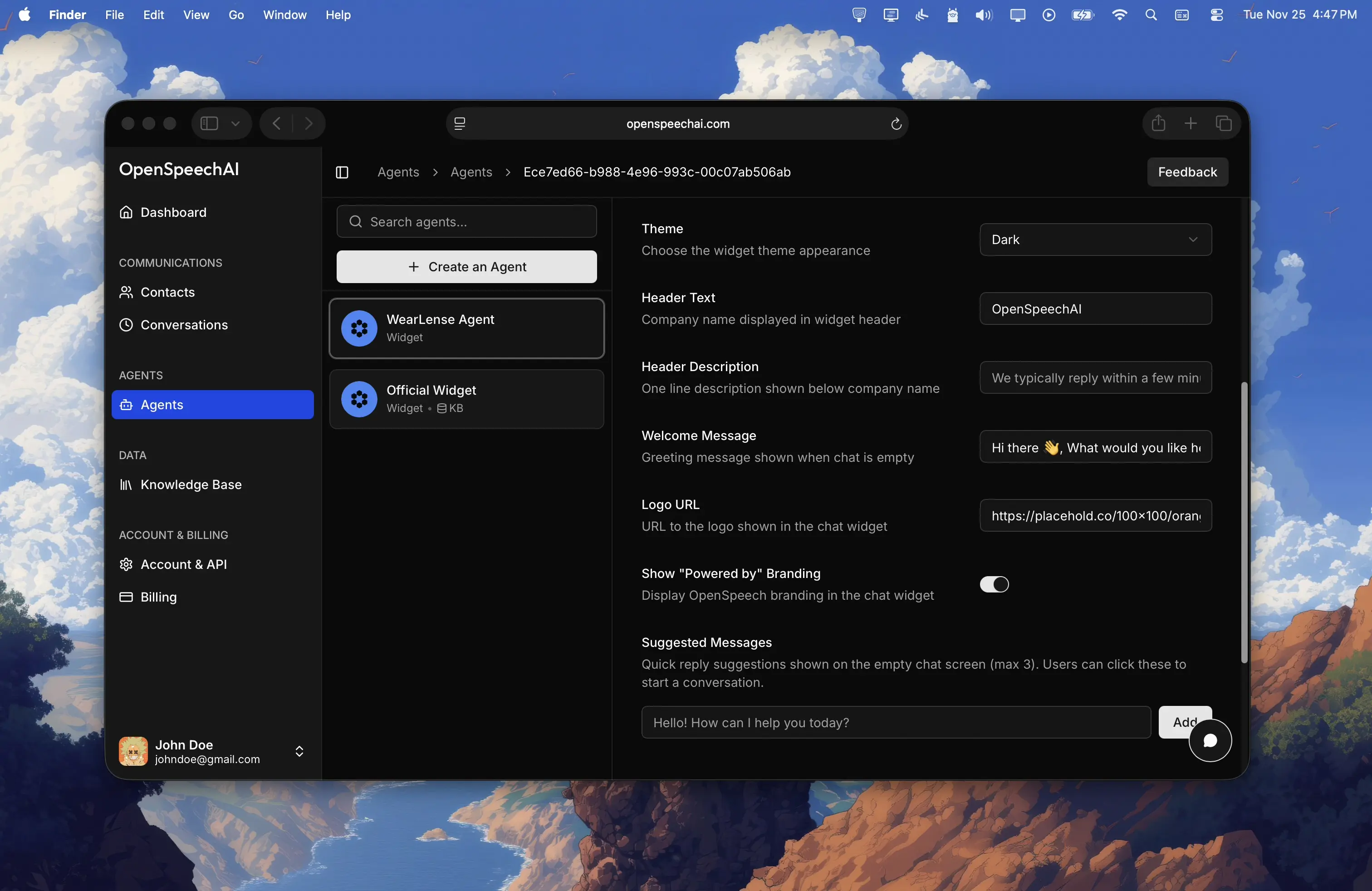 Widget customization options
